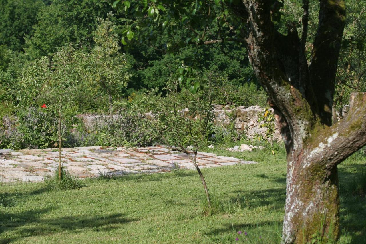 Pazo De Chaioso Ribeira Sacra Maceda Exterior photo